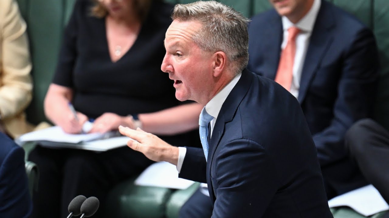 Labor must find 'flaws' in nuclear policy as public will be 'tempted': Former Labor senator