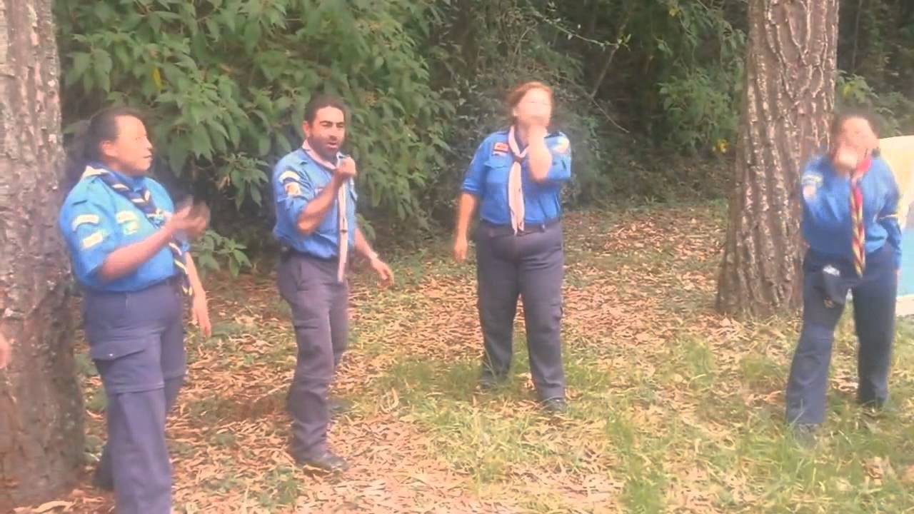 Canciones Scouts - El Mango - Sabios como Baloo