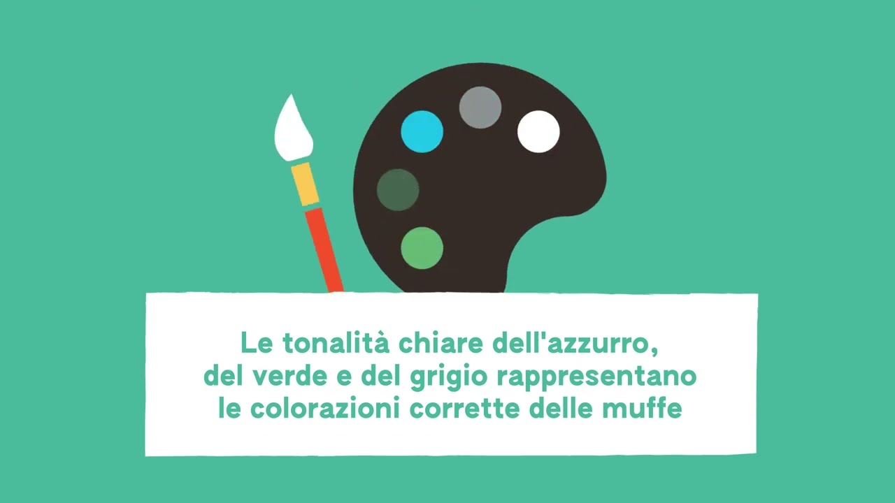 Il Salame secondo Levoni