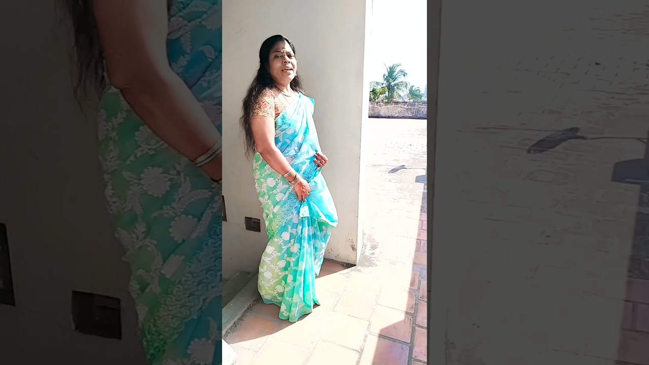 நான் கானாங்கெளுத்தி மீனு