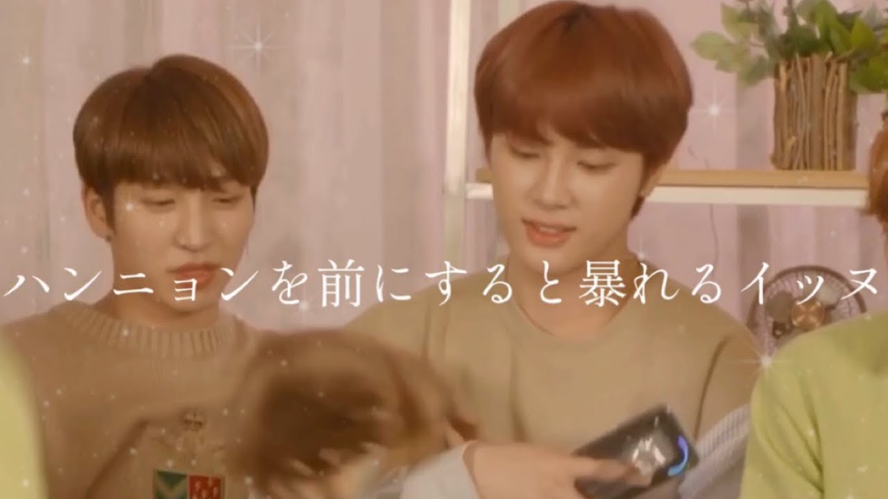 みんなでわんことTHE BOYZみて癒されよ 【日本語字幕】