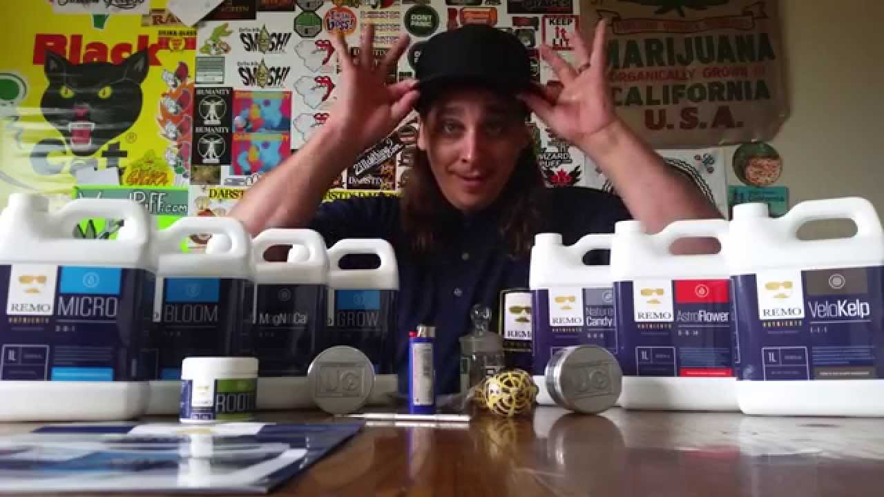 URBAN REMO!!!!!!!