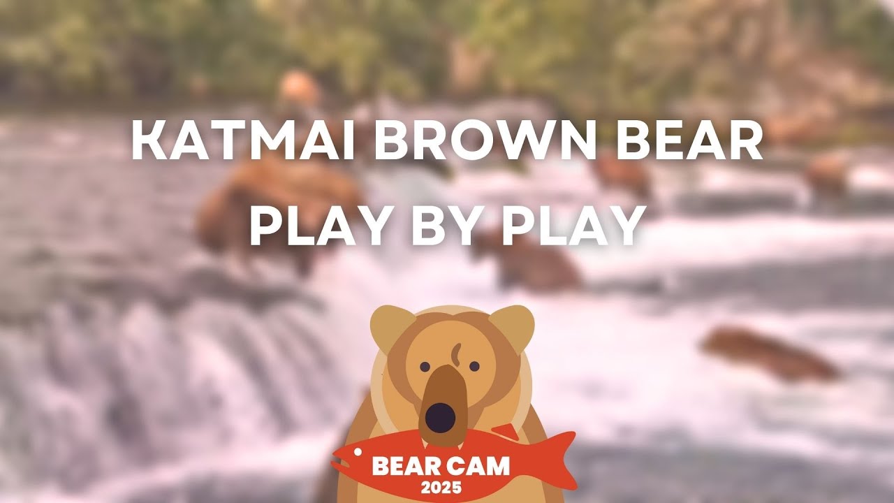 Play by Play 7.22.25 | Brooks Live Chat
