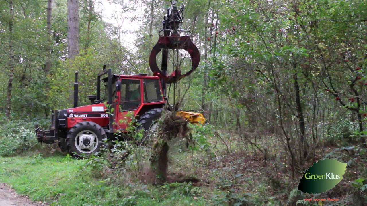 Machinaal verwijderen  Prunus Serotina (Bospest of Amerikaanse vogelkers)