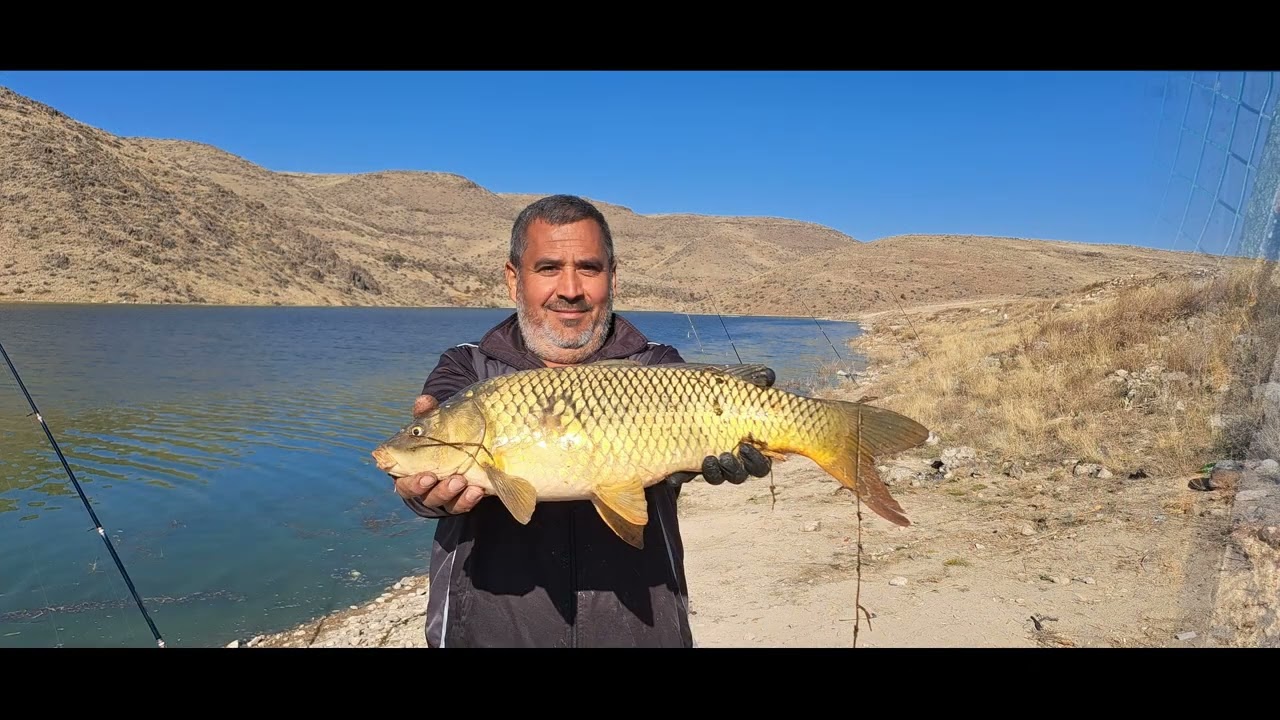 BİR SEVDADIR SAZAN