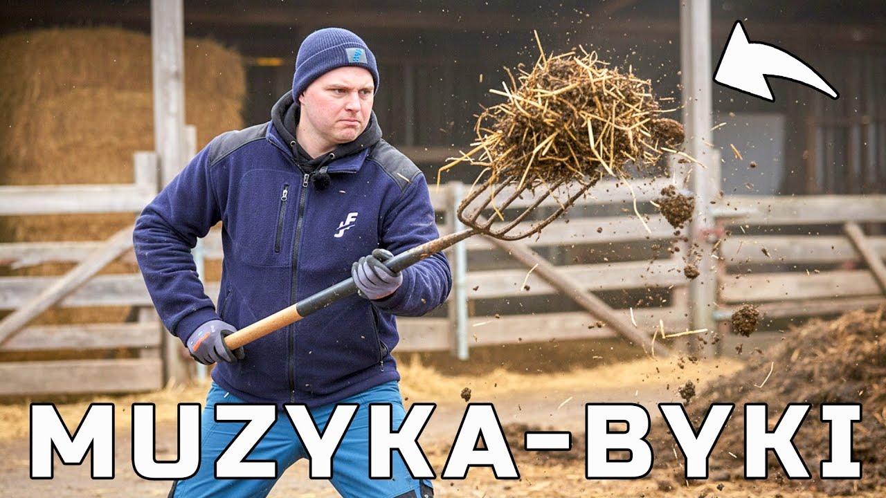 POWR&Oacute;T DO BYDŁA - JOCKERFARM - MUZYKA