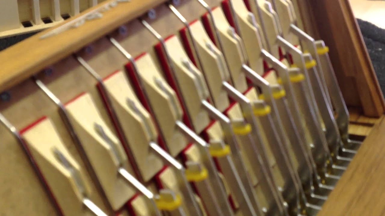 Inside van der Aa accordion 2