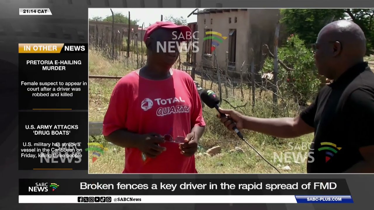 Broken fences a key driver in the rapid spread of FMD