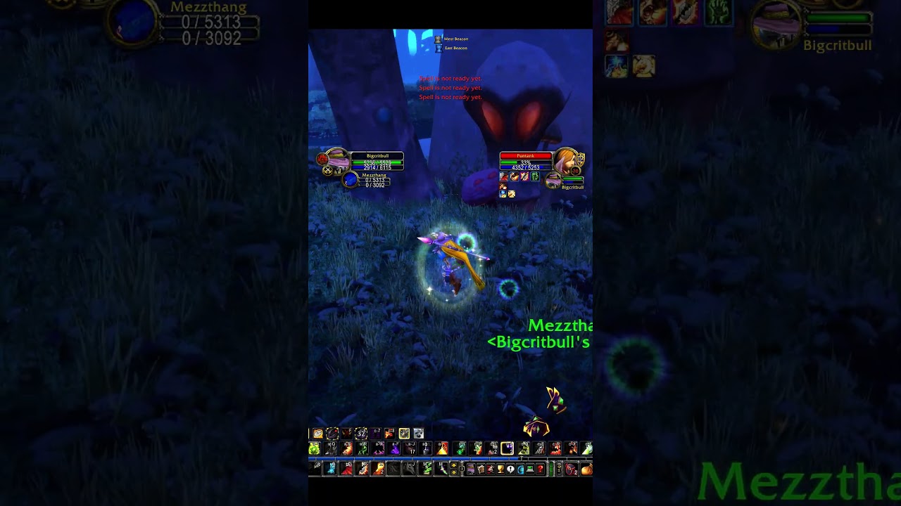 WoW Classic TBC Warlock World PvP - 1v1 Warlock vs Paladin #worldofwarcraft  #mmorpg #pvp