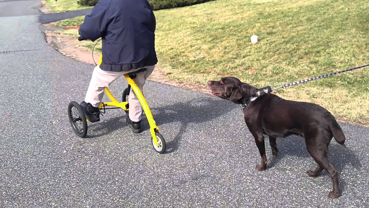 Dad says Thank you for his Alinker walking bike