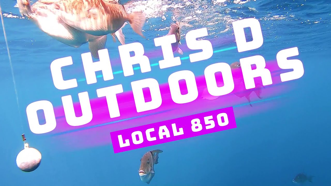 Chris D Outdoors! Destin Florida! Shark, Snapper, Mahi, Football