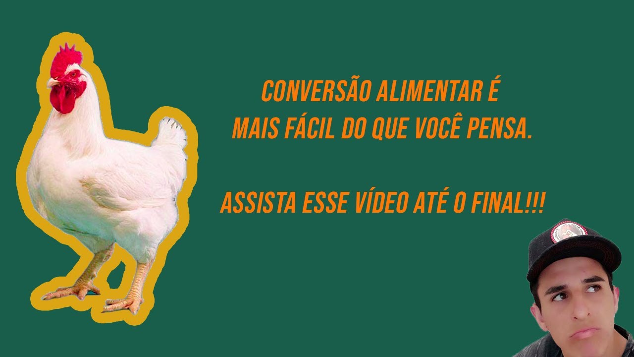 🐔🐔O QUE É CONVERSÃO ALIMENTAR? COMO CALCULAR? O QUE EVITAR PARA TER UMA MELHOR CONVERSÃO?