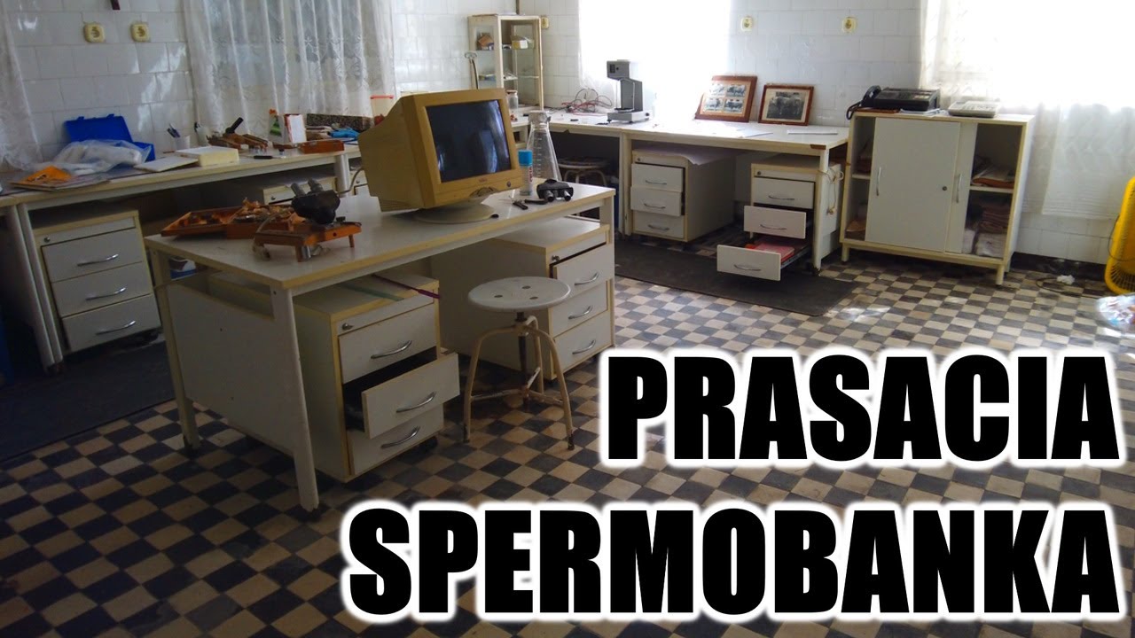 Prasacia Spermobanka 🐷 Ivan Donoval 🐷 Dokument
