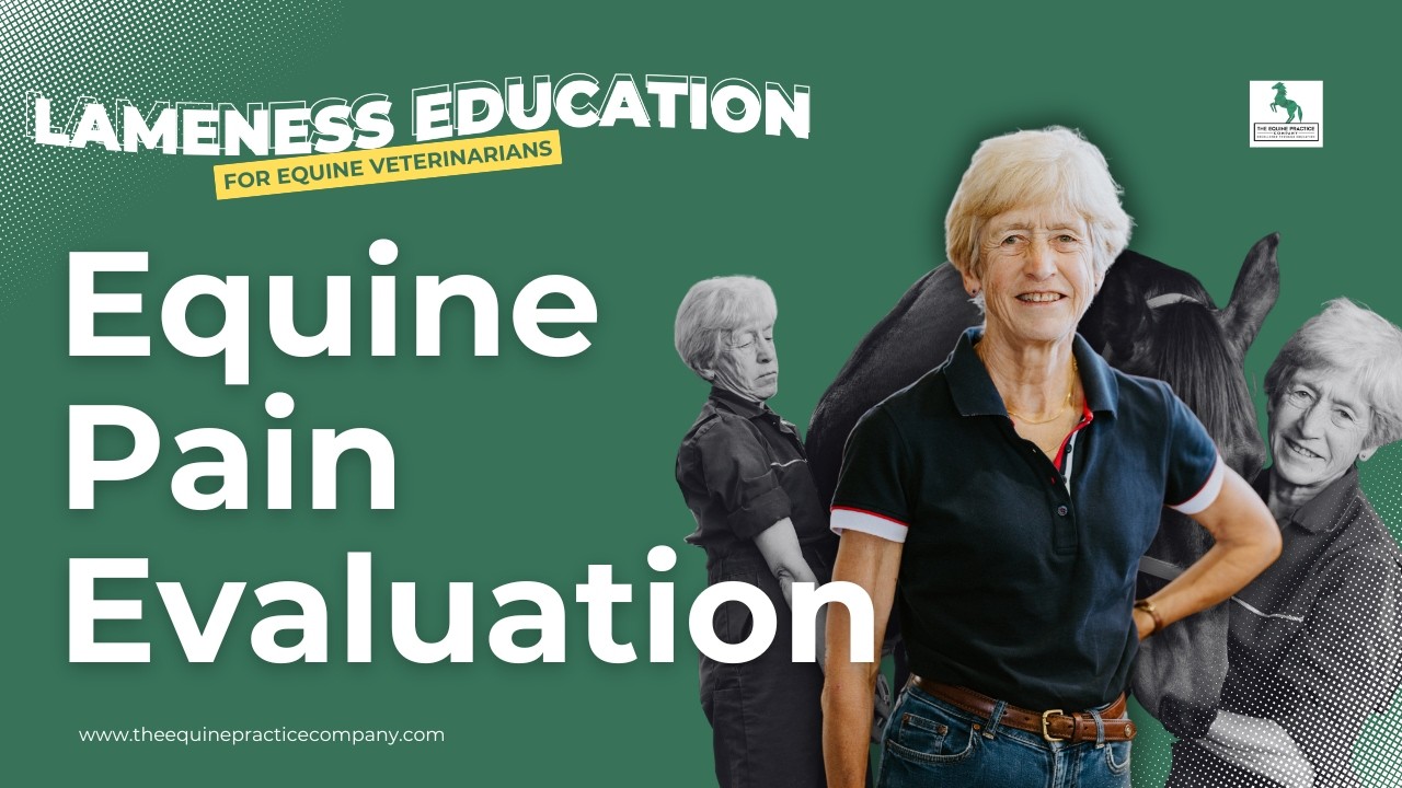 Equine Pain Evaluation: Managing Acute Severe Lameness in Horses