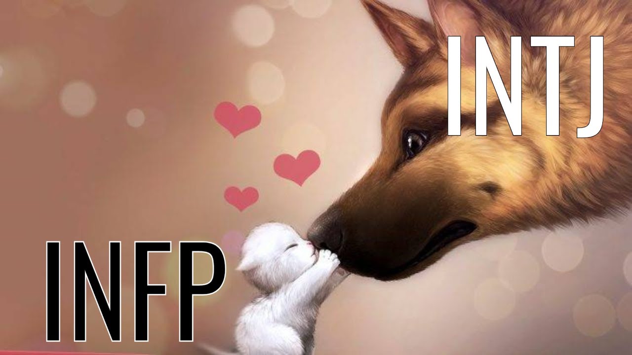 What is an INFP INTJ romance like