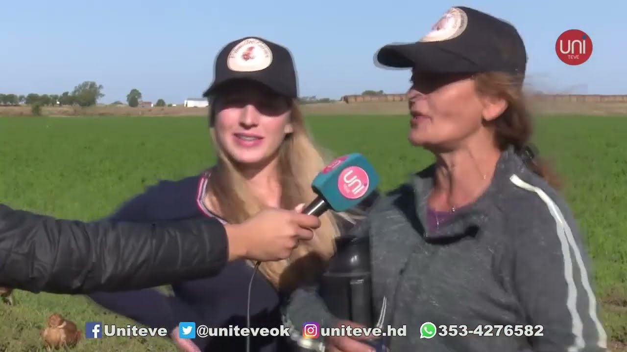 Madre e Hija emprenden en producción de huevos de gallinas pastoriles