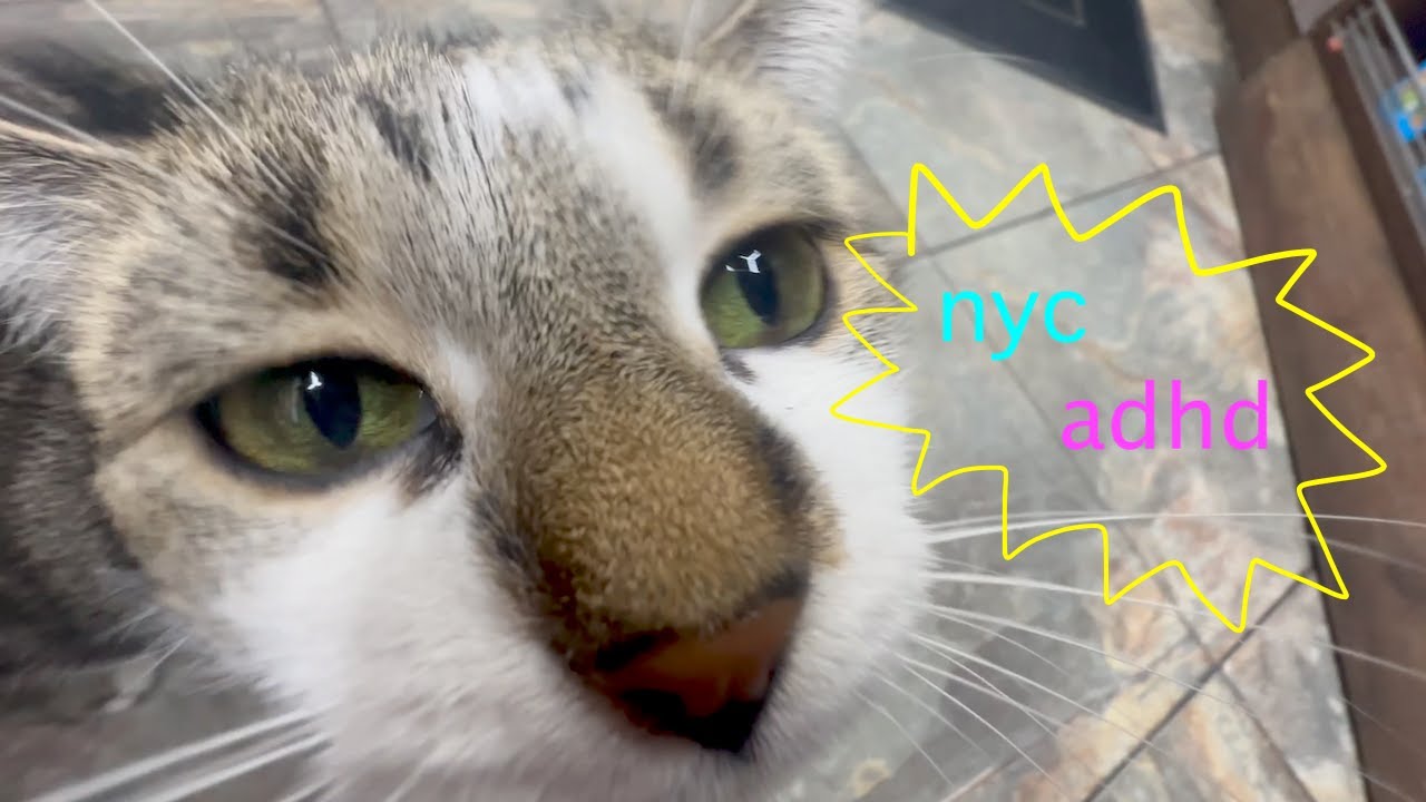 nyc adhd