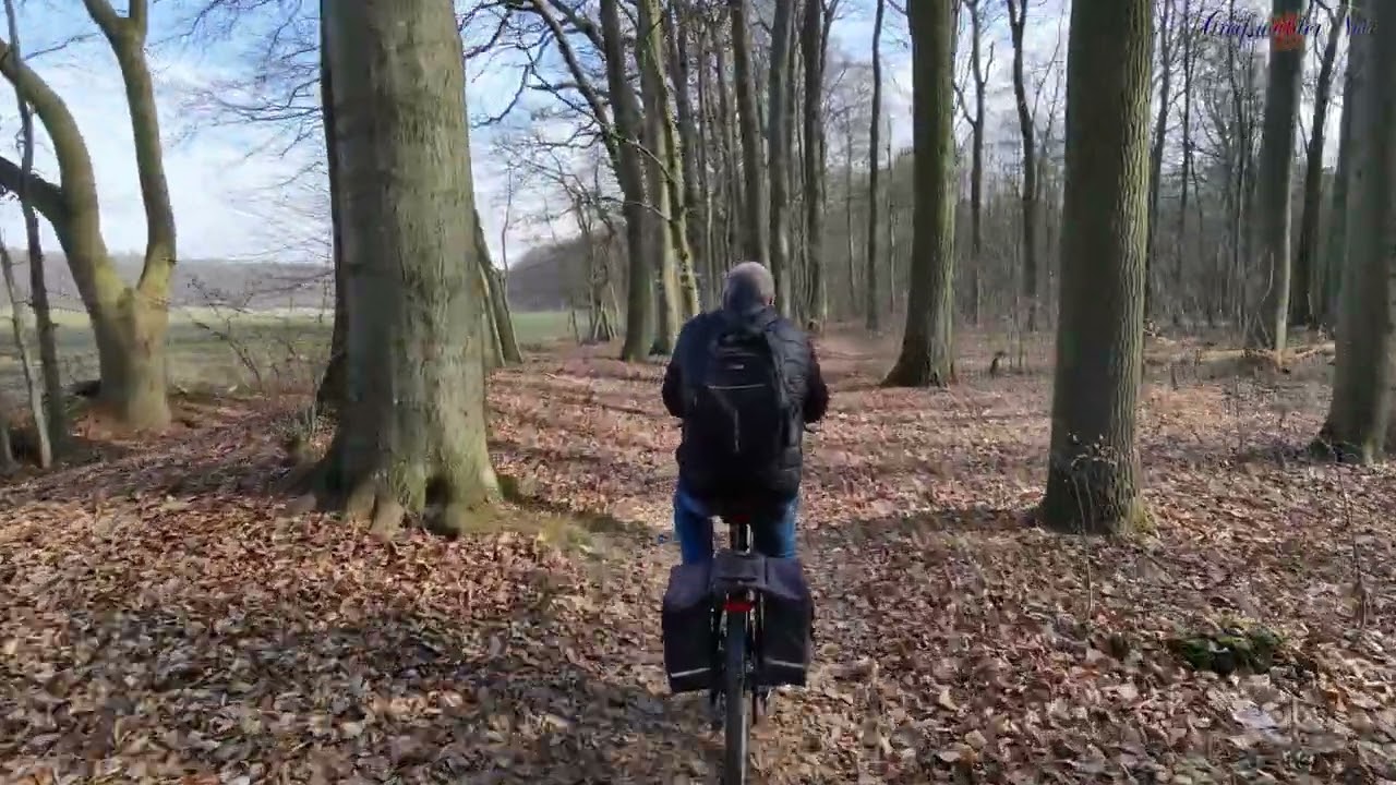 Fahrradtour im Wald