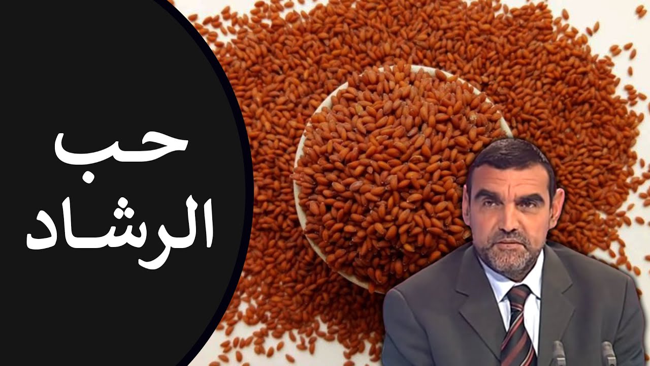 🔸 حب الرشاد 🌱 لتسخين الجسم، تنشيط الدورة، وتسريع الحمل + طرق تناوله 🍃 د. محمد الفايد #نخل_ورمان_ملخص