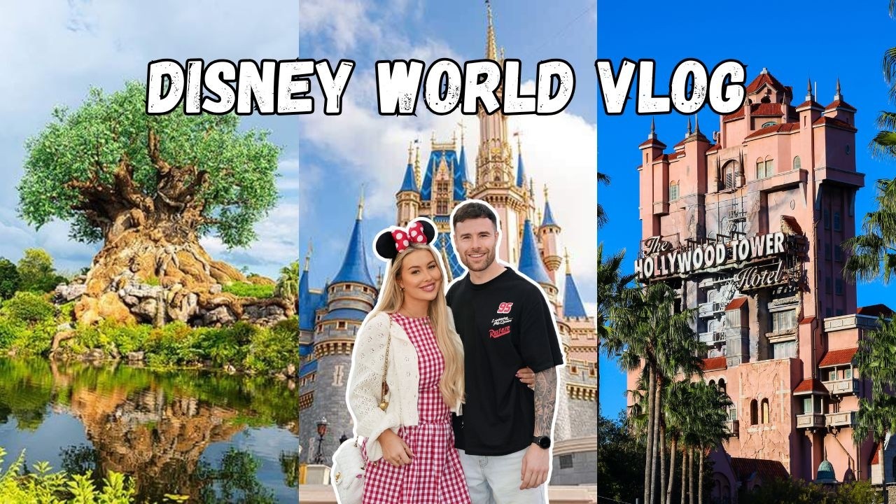 Disney World Orlando - Magic Kingdom | Hollywood Studios | Animal Kingdom