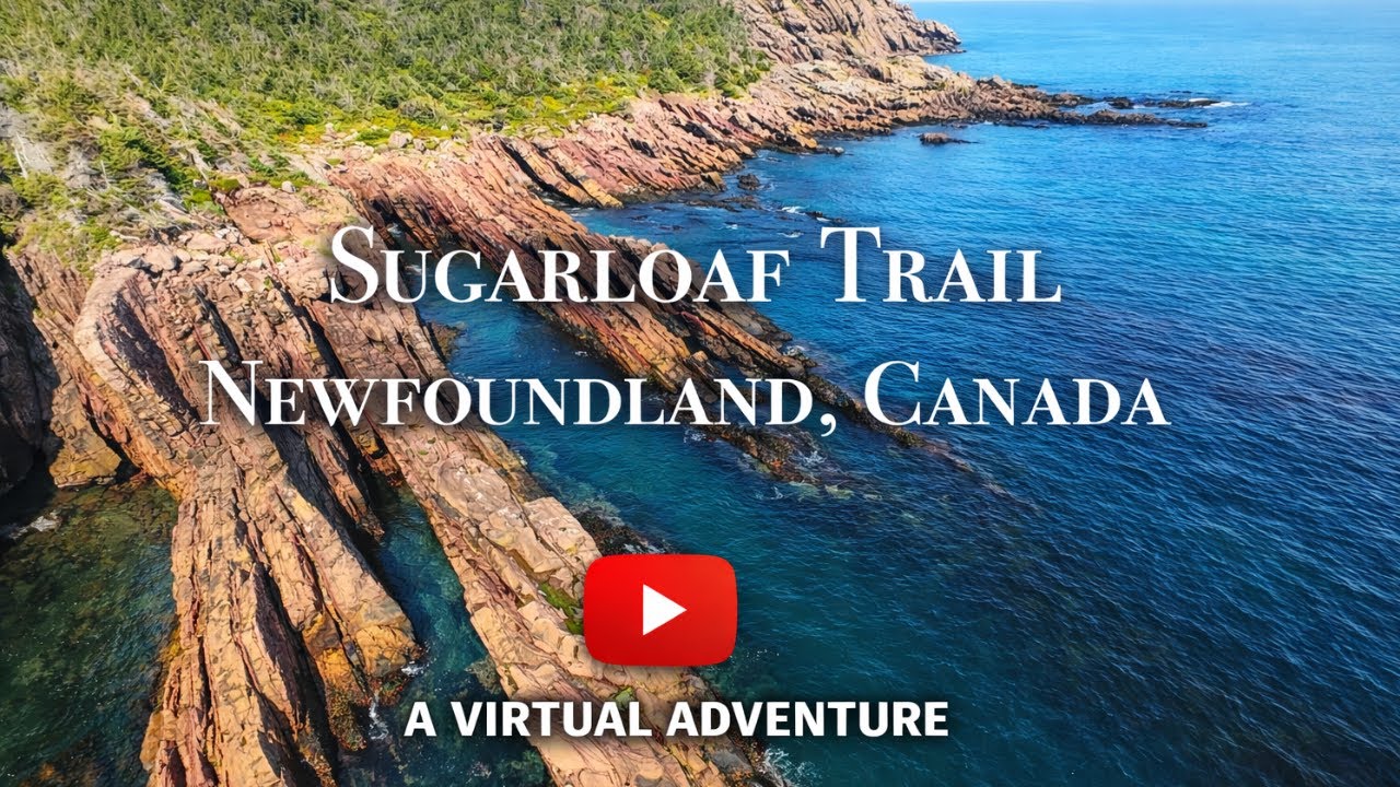 Sugarloaf Path, Newfoundland | Cinematic DJI Avata 2 FPV Aerial (4K)