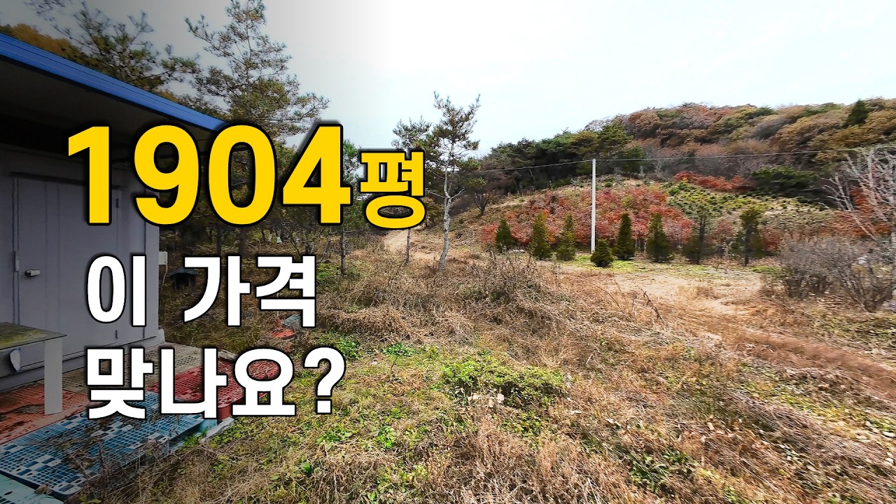 매물238 저렴하게 급매하는 각종 조경수 심어진 평탄한 개울 옆 포천토지매매