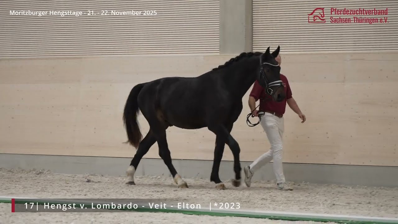 KN 17 v. Lombardo - Veit