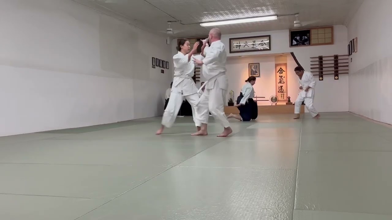 Aikido 2nd Kyu Test at NYA on October 19, 2024