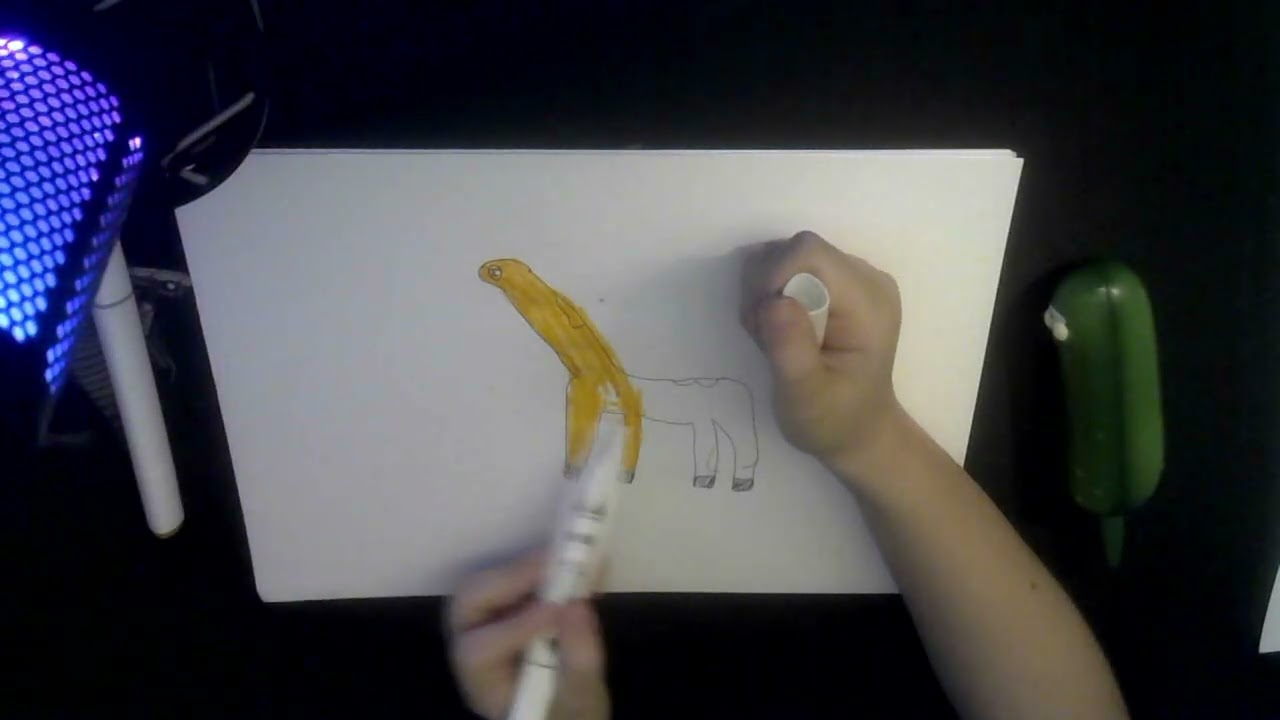 ASMR Drawing - Giraffe