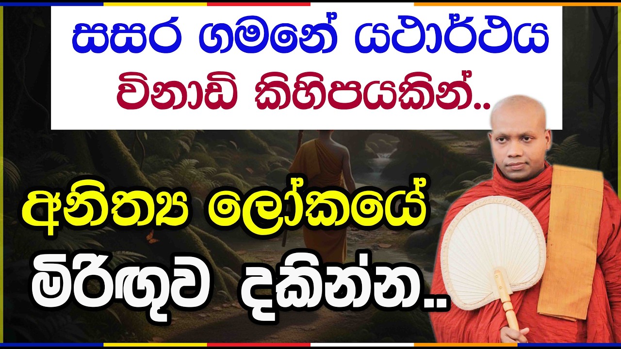සම්මුතිය තුළ පරමාර්ථය දකින හැටි | Hasalaka Seelawimala Thero | 3041
