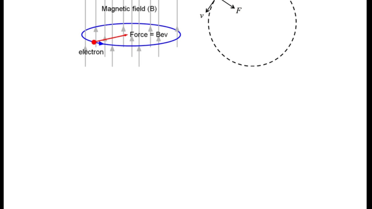 Circular Motion in a Magnetic Field