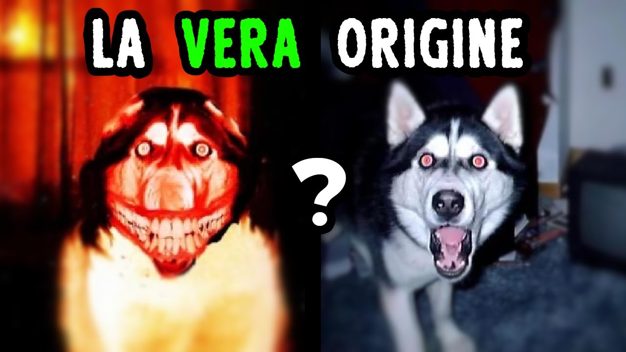 SMILEDOG - da dove arriva questa immagine?