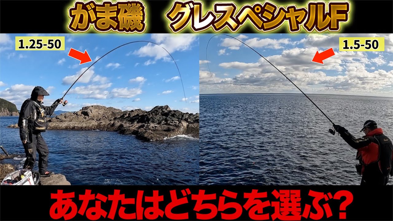 がま磯 グレスペシャル F1.25-50と1.5-50あなたはどちらを選ぶ？
