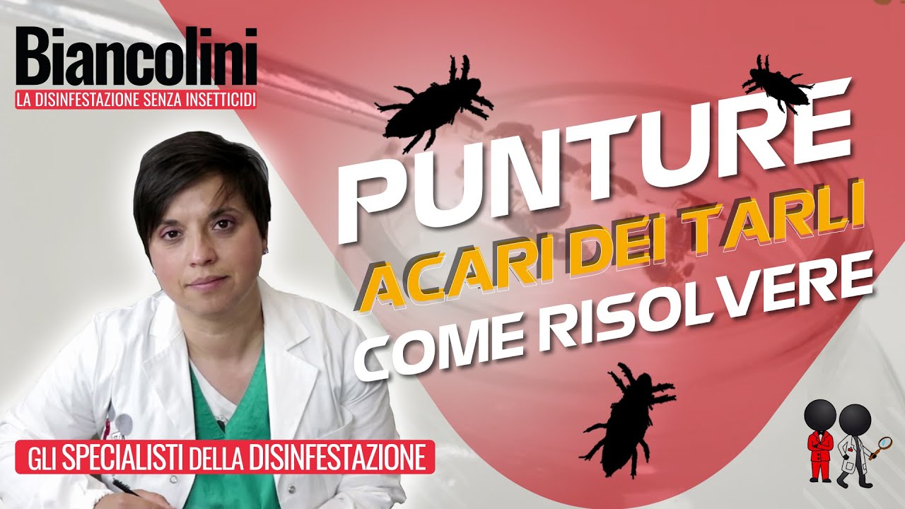 ⚡⚡Punture acari dei tarli: risolvere in 5 minuti!⚡⚡