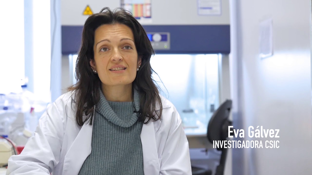 Inmunoterapia contra el cáncer infantil - Leucemias y neuroblastoma