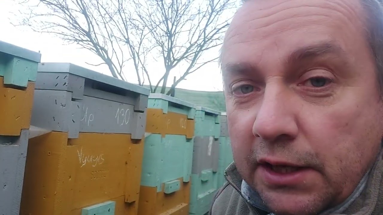 Vinkó Péter Hobbiméhészet: Méhek, telelés, cukorlepény, január közepén.