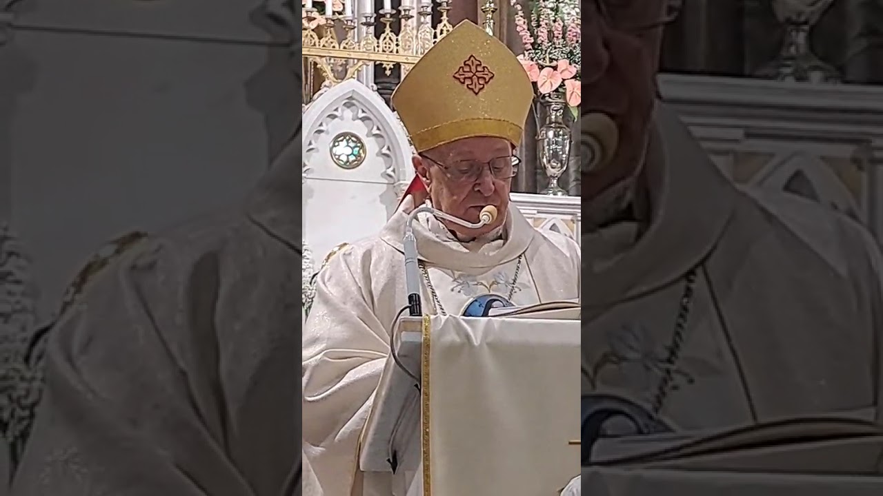 Festa Liturgica di Maria Cristina Brando 2026 - video 3