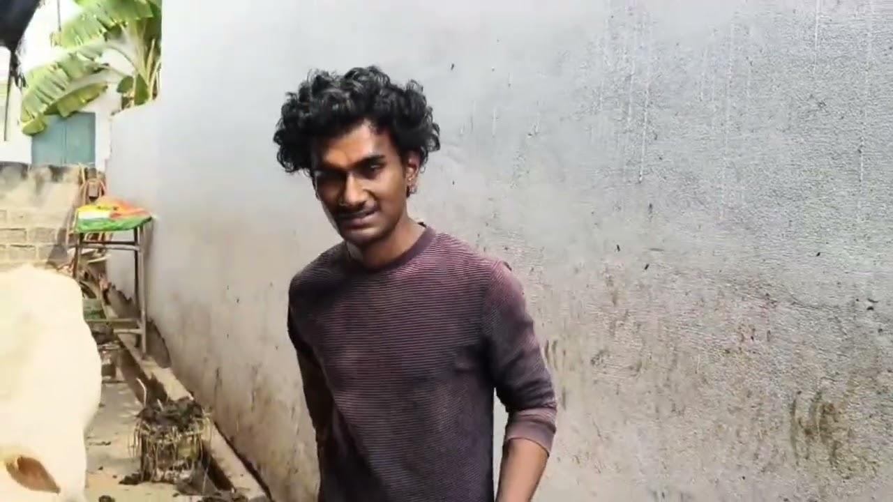 Today's Cow Service (07/12/2025)#ammananna #foodservicedistribution #cow #food 