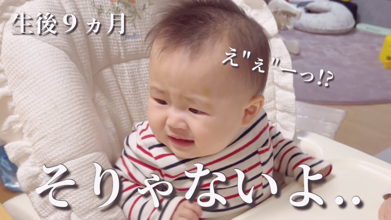 【生後９ヵ月】そりゃそうなるよねっていう展開でした(笑)