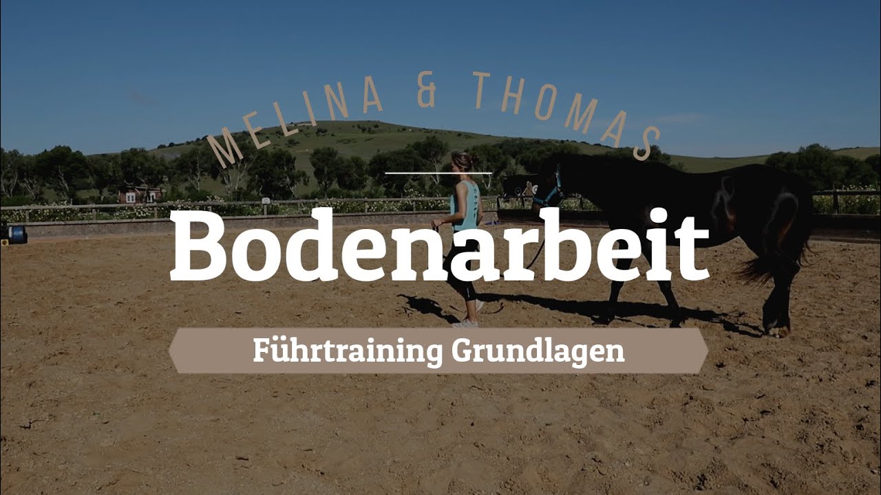 Führtraining - Grundlagen