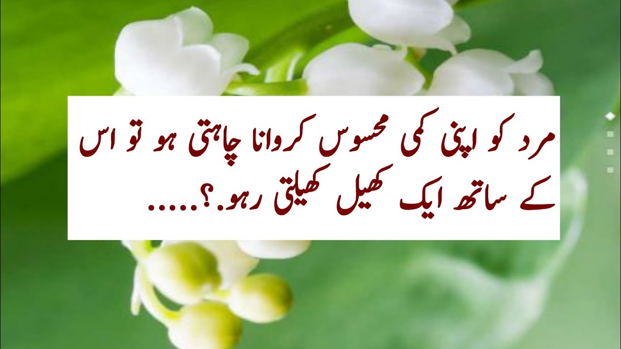 Urdu Inspirational Quotes For Success In Life |alfaaz e Zindagi|Hazrat Ali Best Quotes Motivation