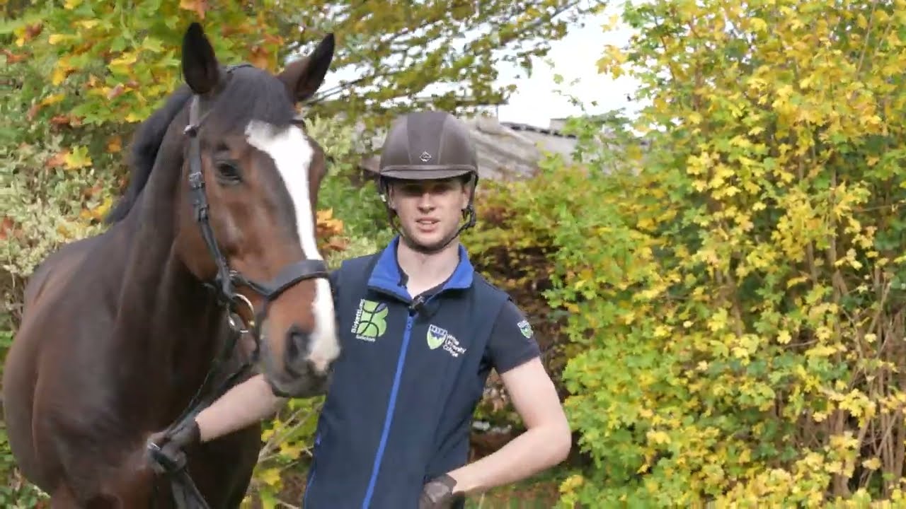 Meet our Equine Academy: Micheal O'Haire