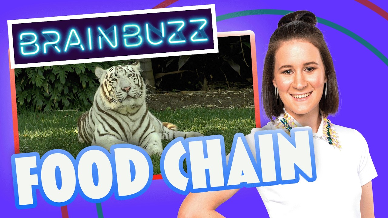 The Food Chain BrainBuzz