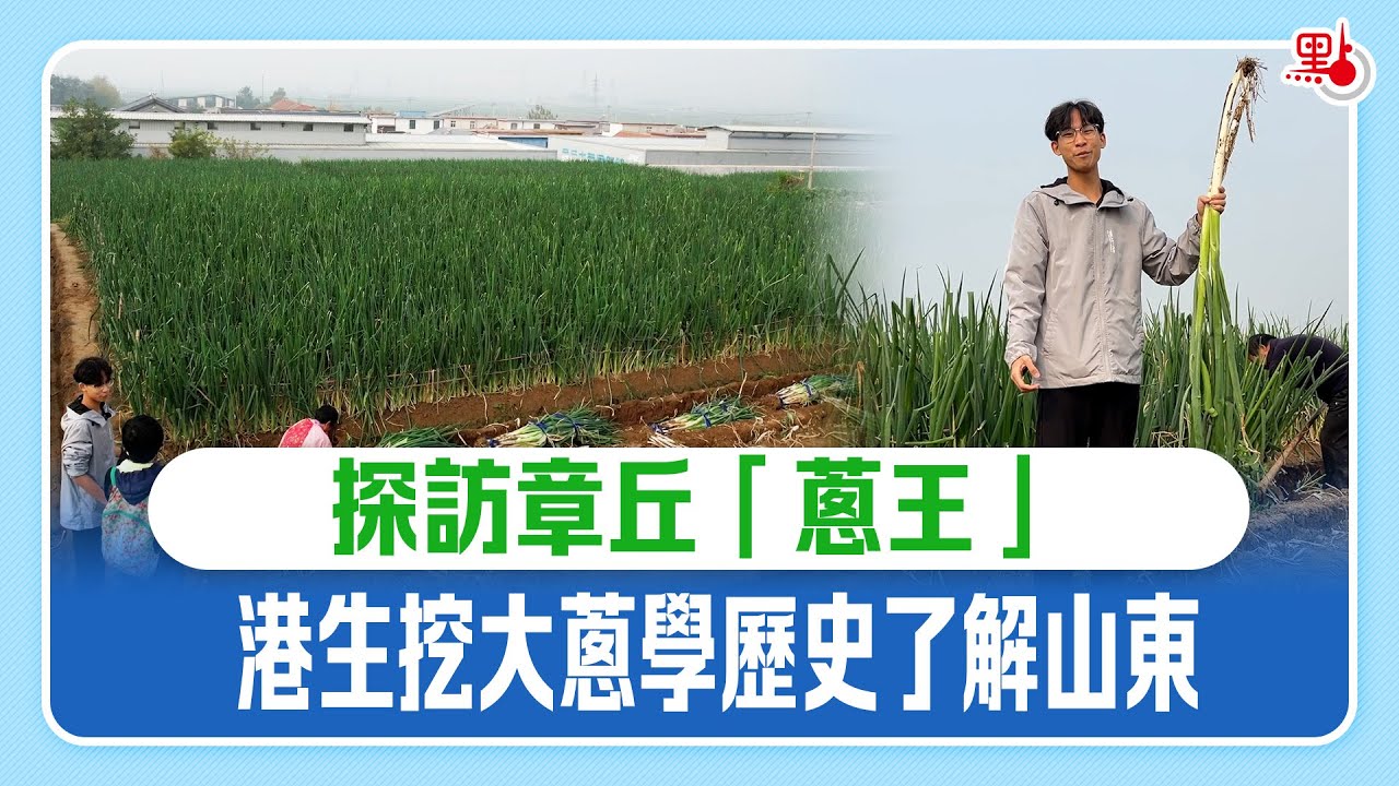 探訪章丘「蔥王」 香港學生挖大蔥學歷史了解山東 HK Student explore China Shandong Scallion: Higher than Human Being? #山東大蔥