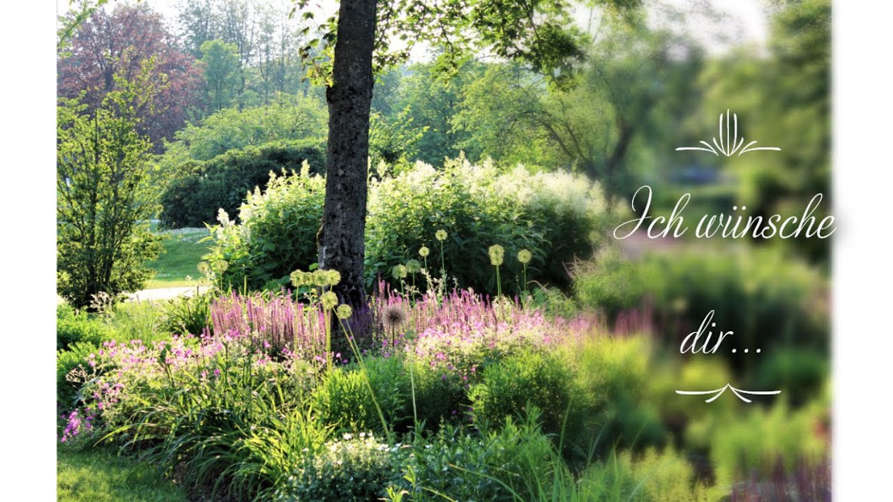 Ich wünsche dir.../Elena Krieger/Foto/