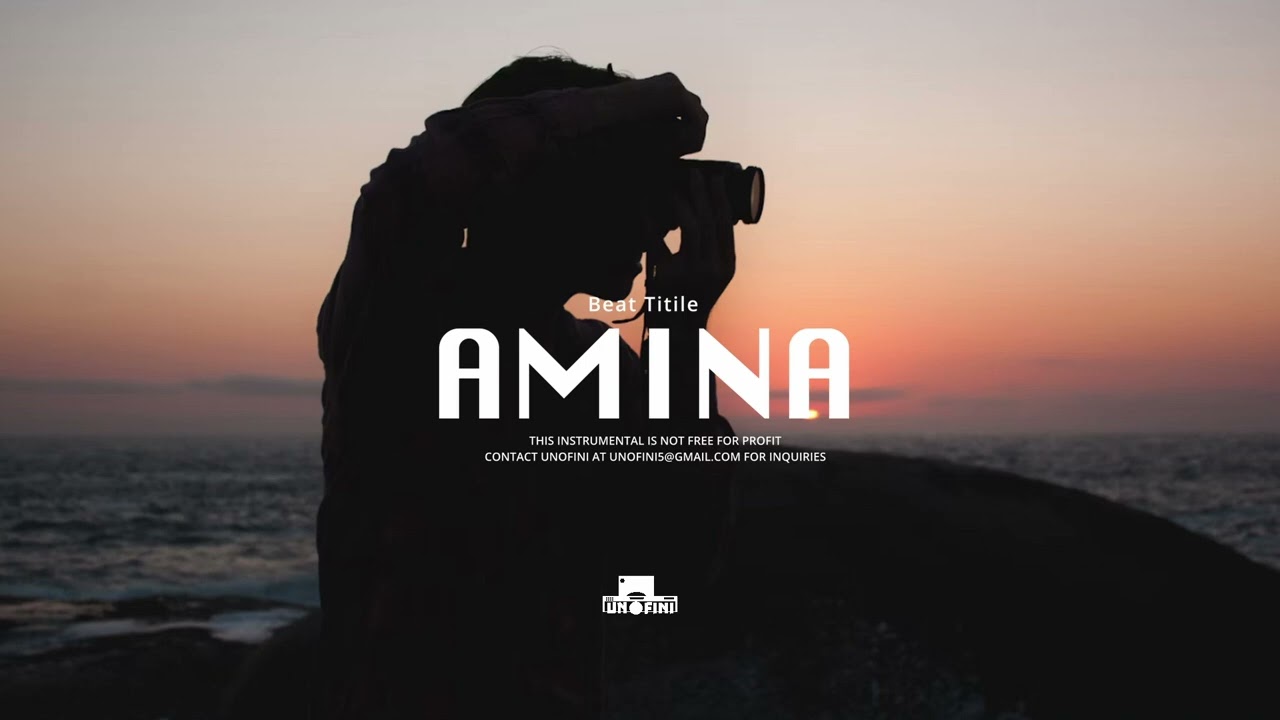 Amina - Chill Wizkid x Ayra Starr x Tems Typebeat |Afrobeats Instrumental 2025