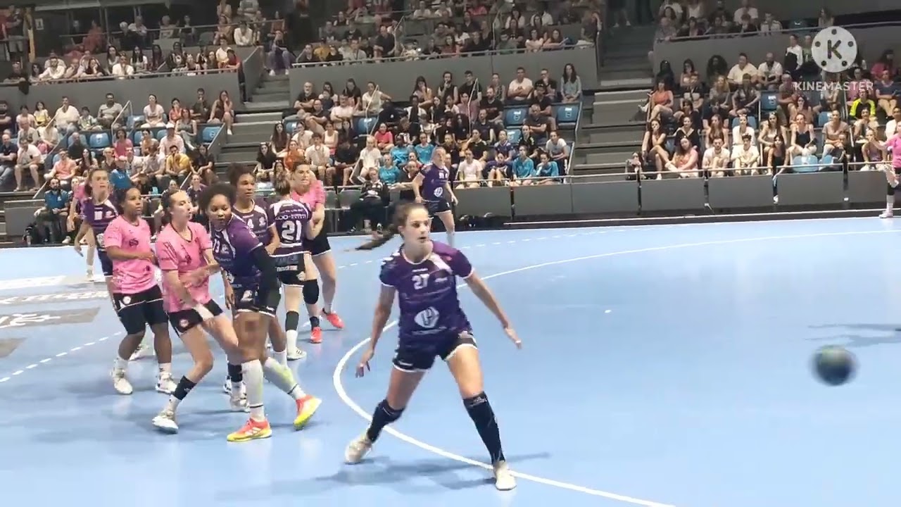 match handball féminin Toulouse /Pessac