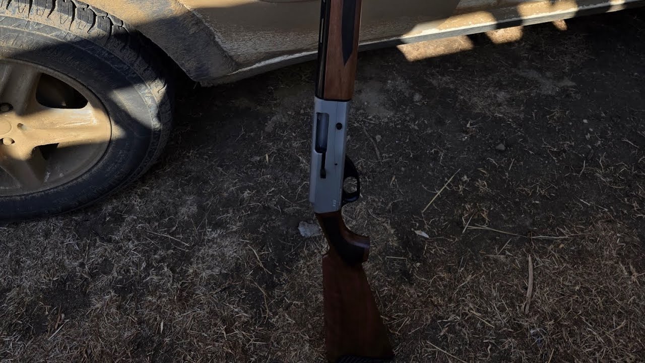 Legacy sports  Pointer FT3 20 gauge