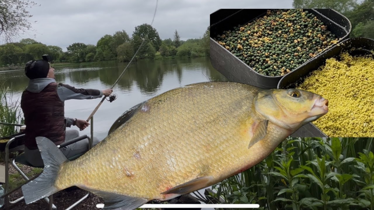 Pescuit simplu la feeder