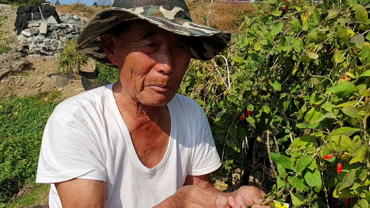 42년생 조재홍